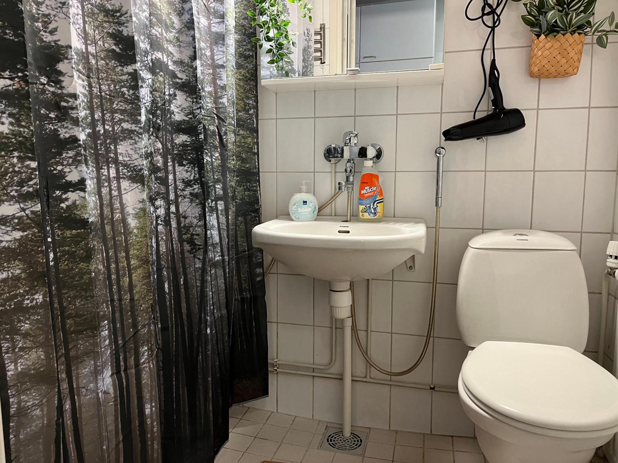 Inka Apartments With Daily Towel Change Рованіемі Екстер'єр фото